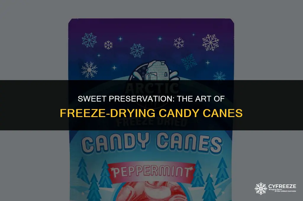 how to freeze dry candy canes
