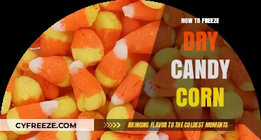 Sweet Preservation: The Art of Freeze-Drying Candy Corn