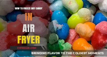 Sweet Preservation: Air Fryer Freeze Drying Candy Guide
