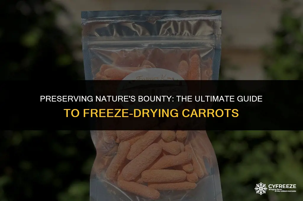 how to freeze dry carrots