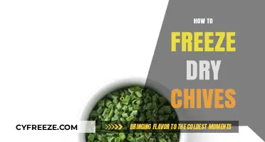 Preserving Flavor: The Simple Guide to Freeze Drying Chives