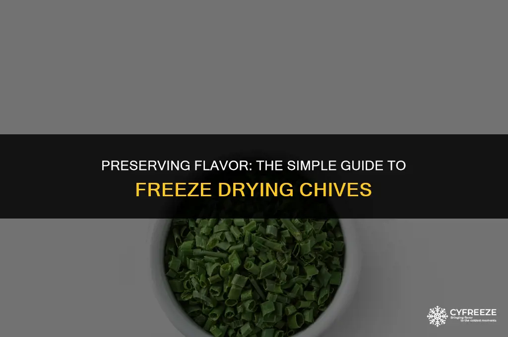 how to freeze dry chives