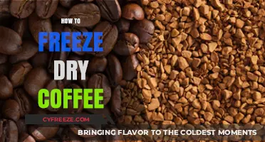 Preserving Your Brew: The Ultimate Guide to Freeze-Drying Coffee