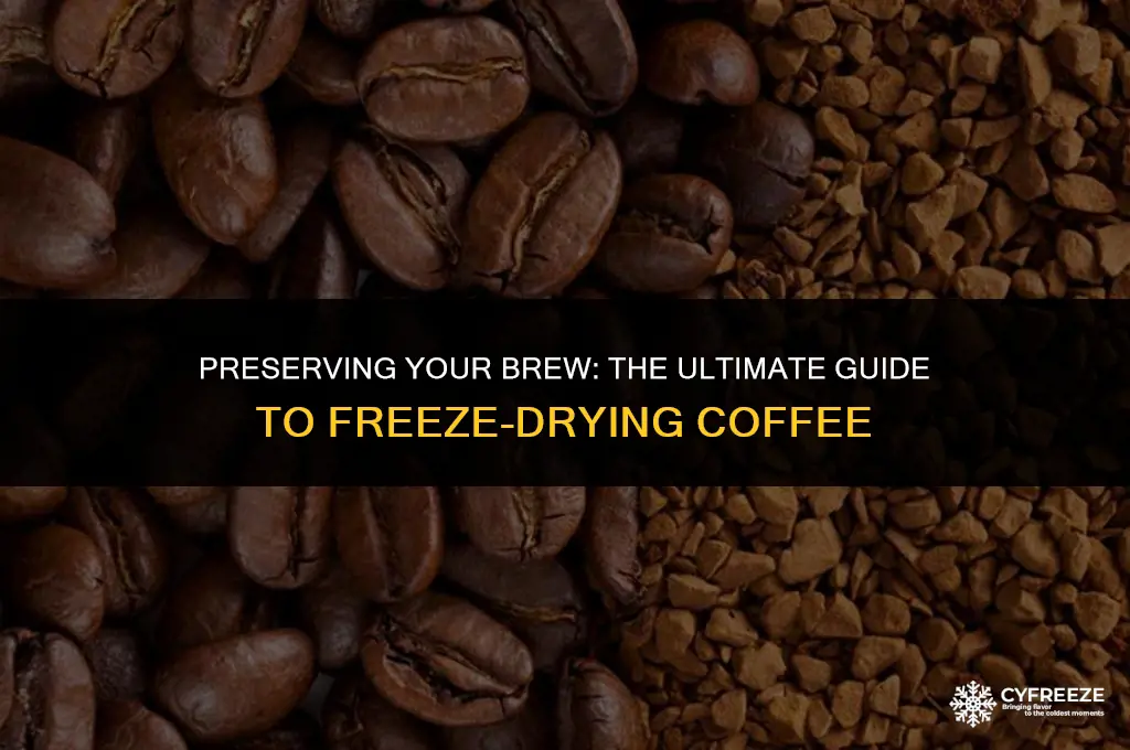 how to freeze dry coffee