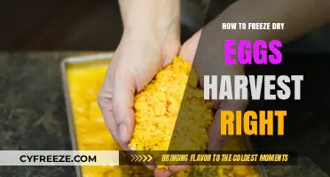 Preserve Your Harvest: The Ultimate Guide to Freeze-Drying Eggs