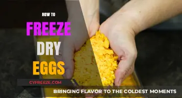 The Ultimate Guide to Freeze-Drying Eggs for Long-Term Storage