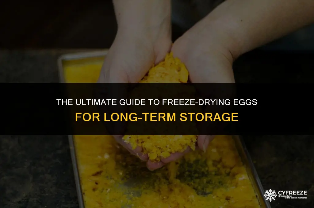 how to freeze dry eggs