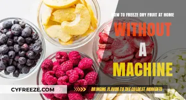 DIY Fruit Freeze-Drying: A Simple Guide for Home Preservation