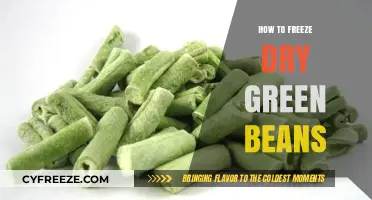 Preserving Freshness: The Ultimate Guide to Freeze Drying Green Beans