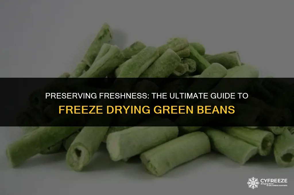 how to freeze dry green beans