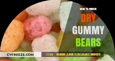 Preserve the Chew: A Guide to Freeze-Drying Gummy Bears
