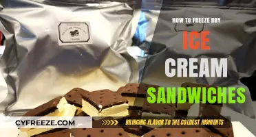 Delicious Preservation: The Ultimate Guide to Freeze-Drying Ice Cream Sandwiches