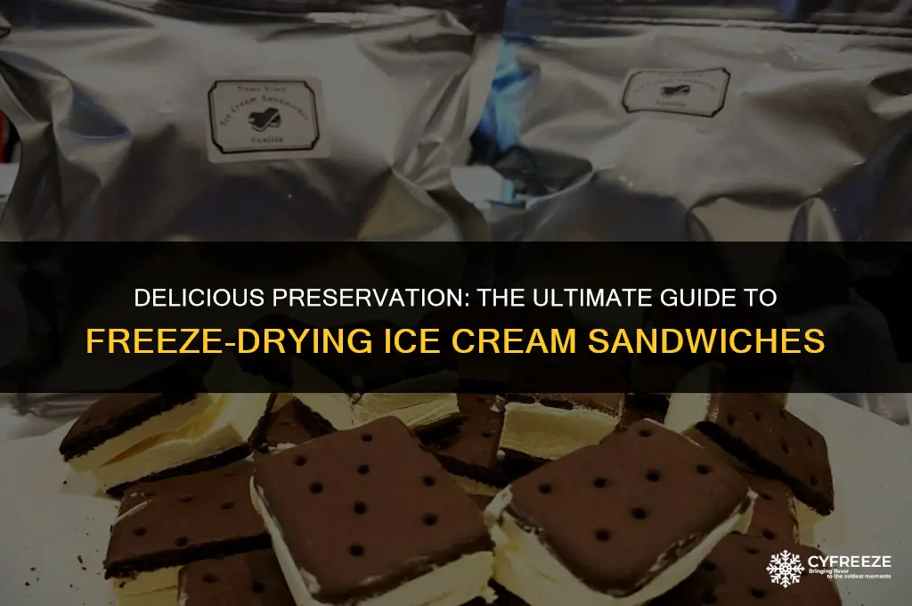 how to freeze dry ice cream sandwiches