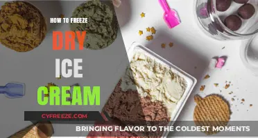 The Sweet Science: Mastering the Art of Freeze-Drying Ice Cream