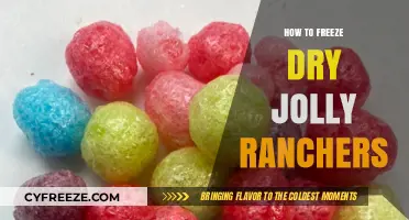 Preserving Sweetness: The Jolly Rancher Freeze-Drying Guide