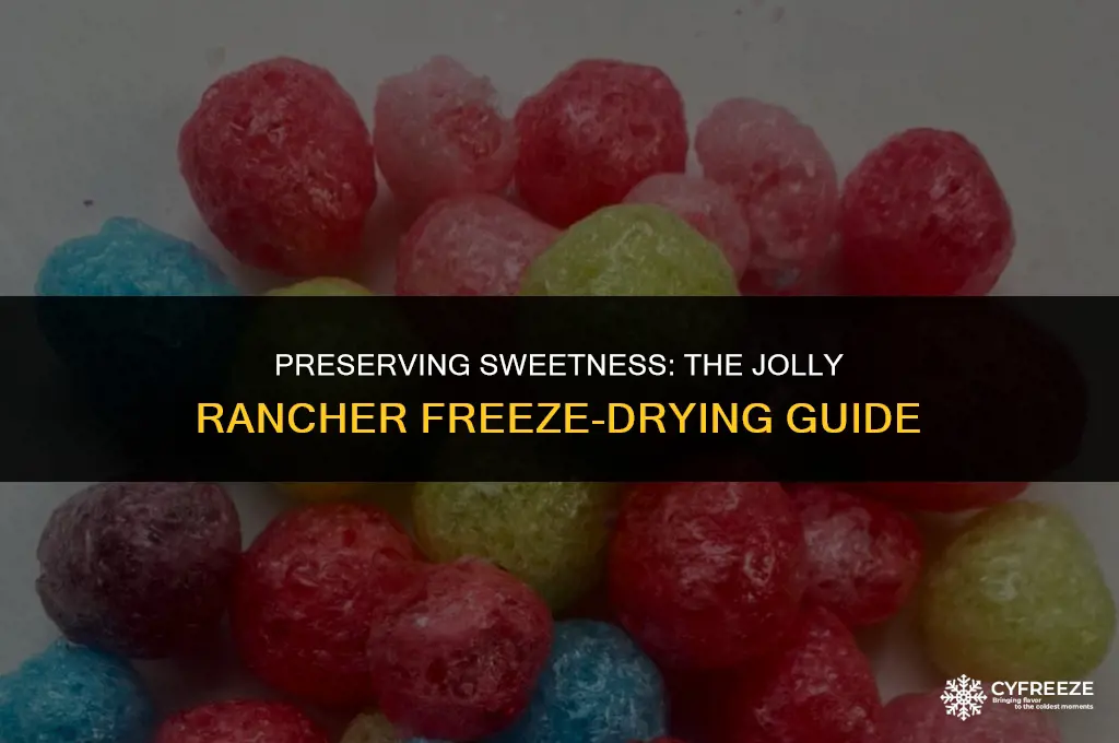 how to freeze dry jolly ranchers