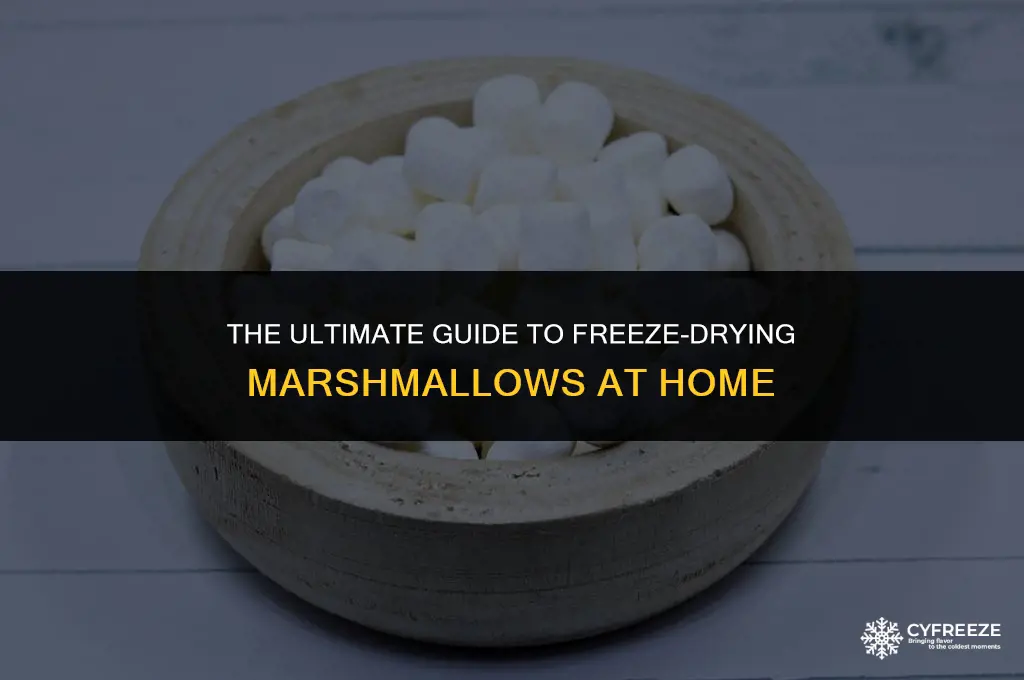how to freeze dry marshmallows