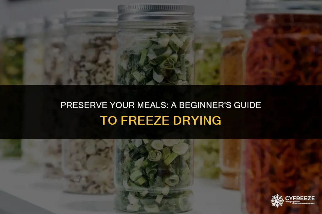 how to freeze dry meals