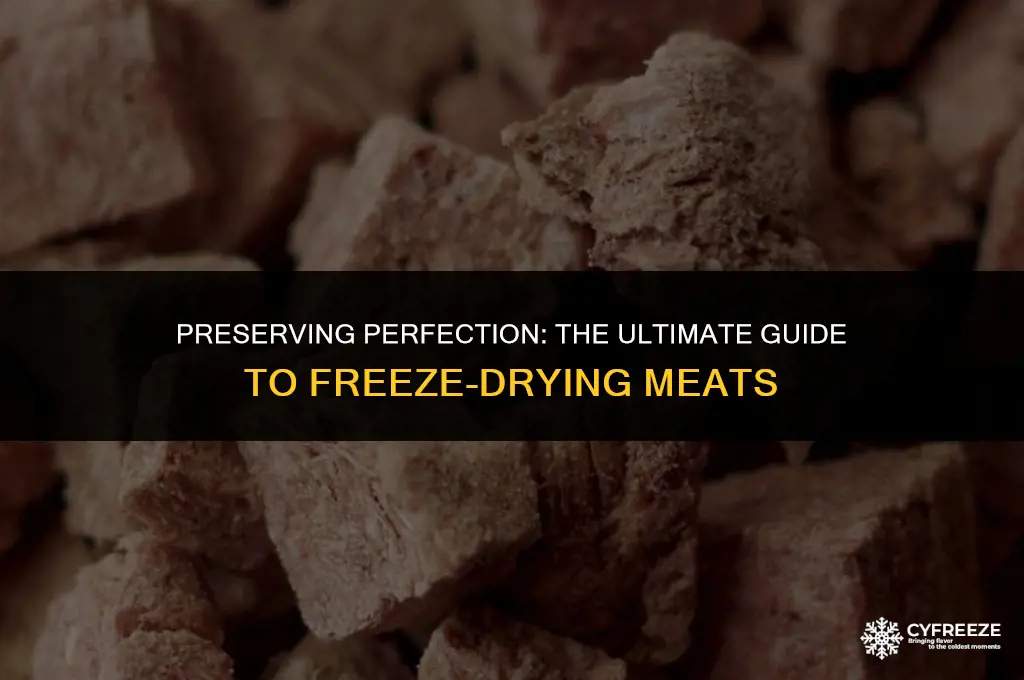 how to freeze dry meats