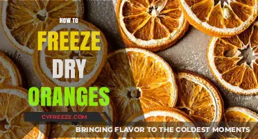 Preserving Sunshine: The Ultimate Guide to Freeze-Drying Oranges