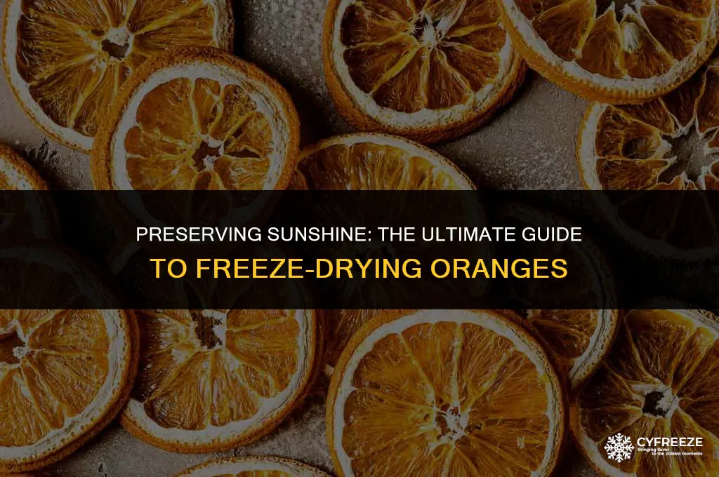 how to freeze dry oranges