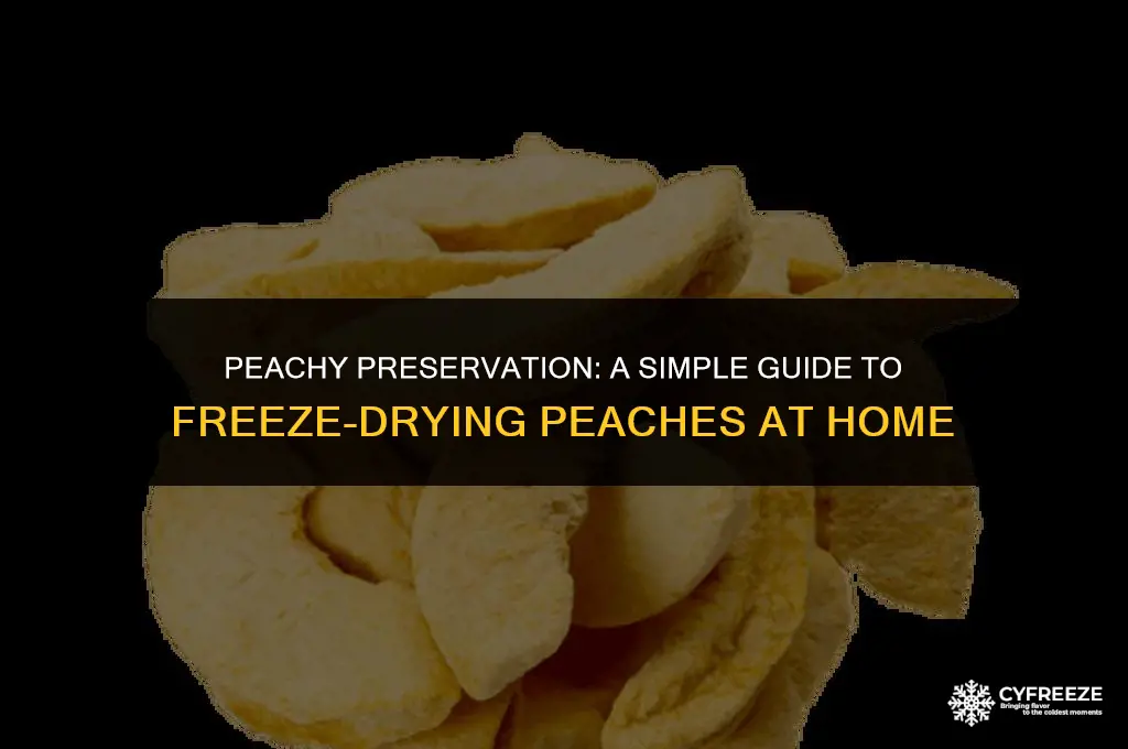 how to freeze dry peaches