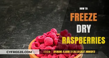 Preserve the Sweetness: A Guide to Freeze-Drying Raspberries
