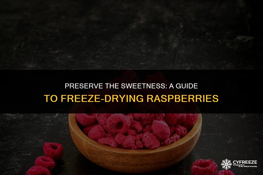 how to freeze dry raspberries