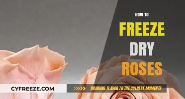 Preserving Beauty: The Art of Freeze Drying Roses