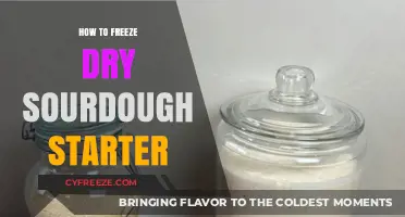 Preserving Your Sourdough Starter: A Guide to Freeze Drying