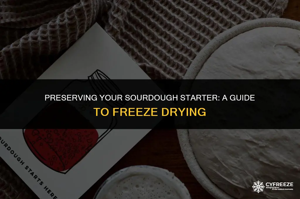 how to freeze dry sourdough starter
