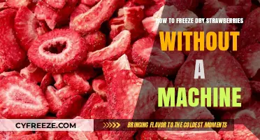 Easy Homemade Freeze-Drying: Preserving Strawberries Without a Machine