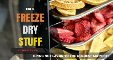 The Ultimate Guide to Freeze-Drying: Preserving Food and Beyond