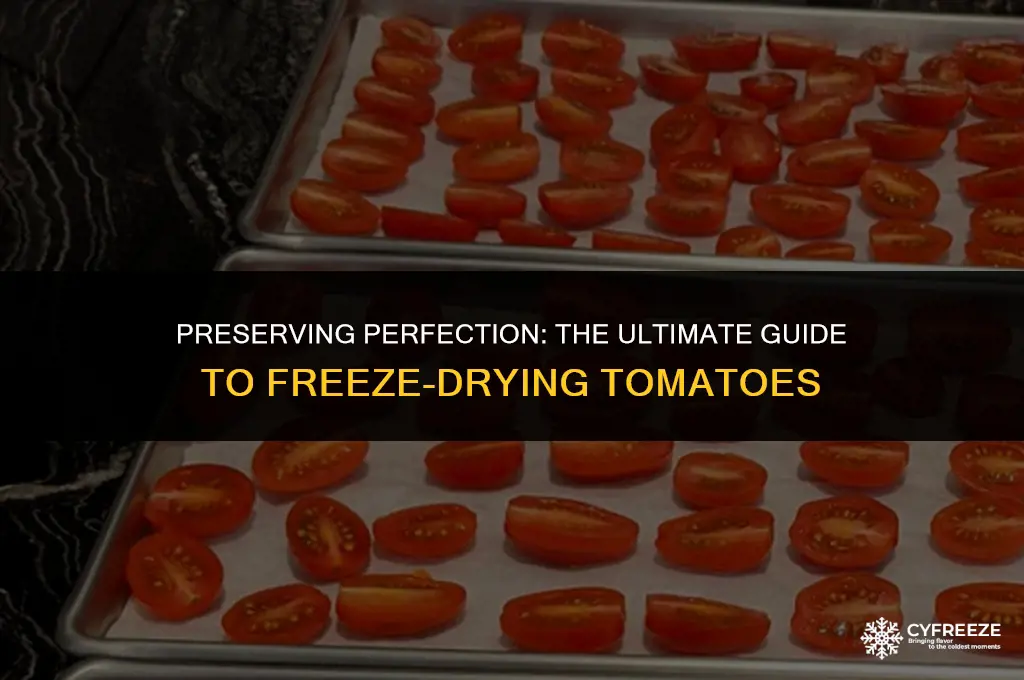 how to freeze dry tomatoes