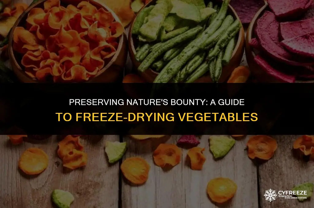 how to freeze dry vegetables