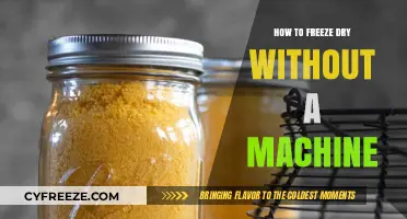 The Ultimate Guide to Freeze-Drying at Home Without a Machine