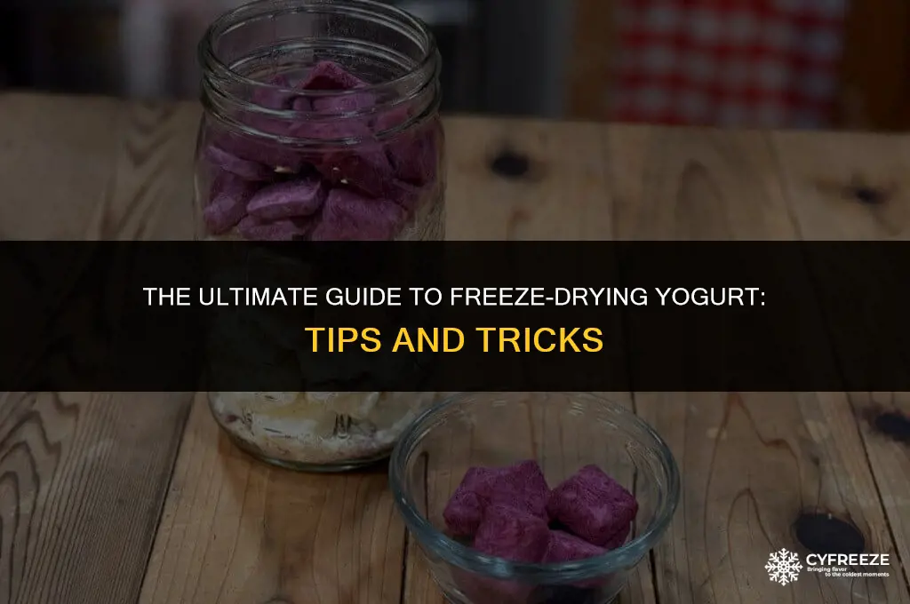 how to freeze dry yogurt