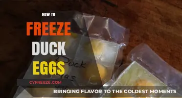 Preserving Perfection: A Guide to Freezing Duck Eggs