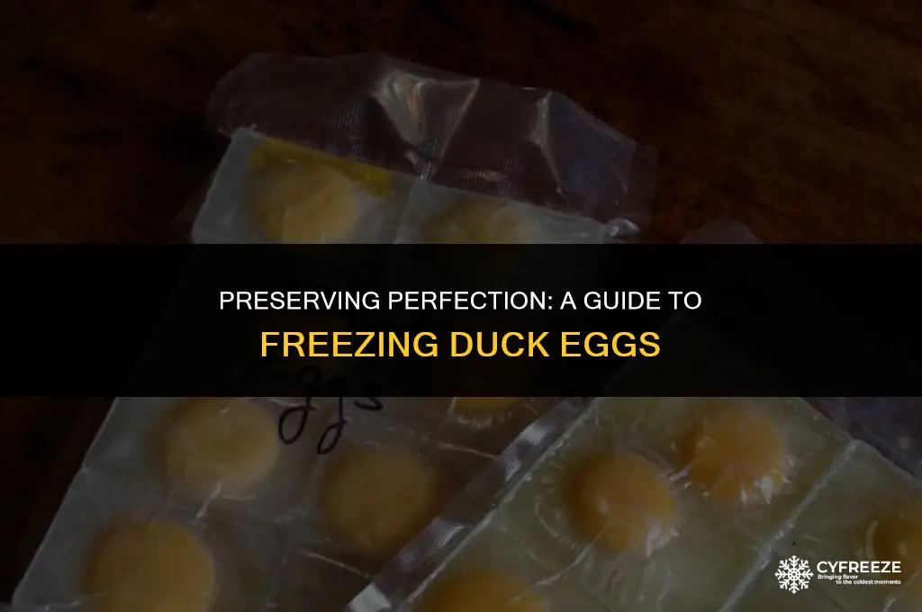 how to freeze duck eggs