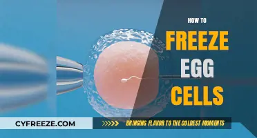Preserving Fertility: A Guide to Freezing Egg Cells