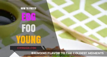 Mastering the Art of Freezing Egg Foo Young: A Step-by-Step Guide