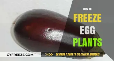 Preserving Summer's Bounty: A Guide to Freezing Eggplants
