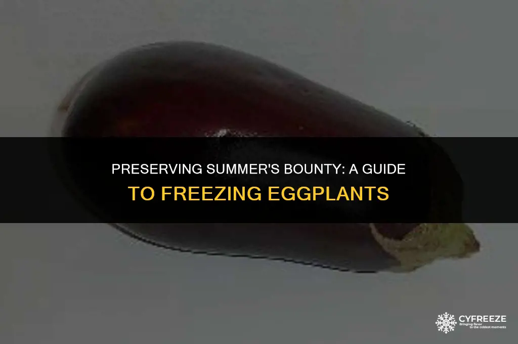 how to freeze egg plants
