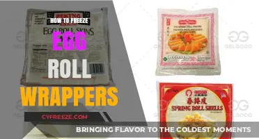 Mastering the Art of Freezing Egg Roll Wrappers for Perfect Texture