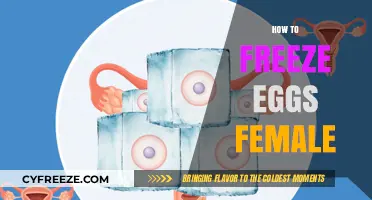 Egg-cellent Preservation: A Guide to Freezing Female Eggs