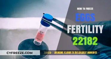 Preserving Fertility: A Guide to Freezing Eggs for Future Parenthood