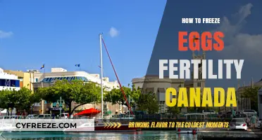 Preserving Fertility: A Canadian Guide to Freezing Eggs