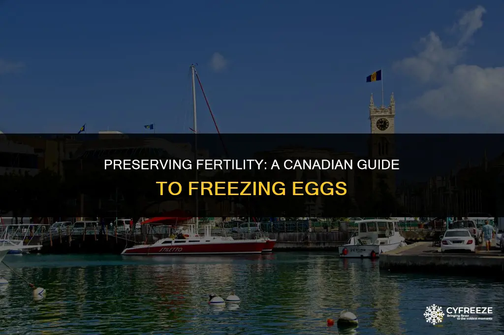 how to freeze eggs fertility canada