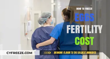 Preserving Fertility: A Guide to the Cost of Egg Freezing