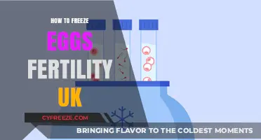 Preserving Fertility: A UK Guide to Freezing Eggs